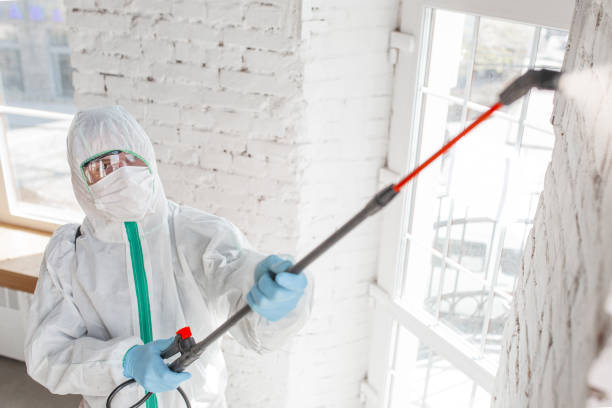 Best HVAC Mold Inspection and Cleaning  in Keys, OK