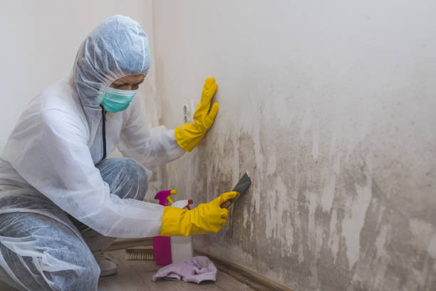 Best Mold Odor Removal Services  in Keys, OK
