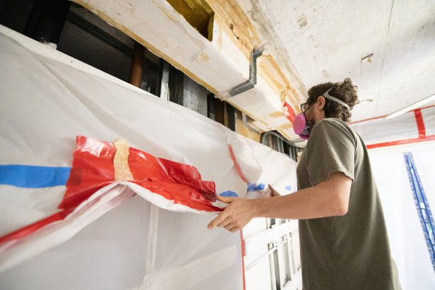 Best Environmental Consulting for Mold Prevention  in Keys, OK