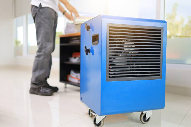 Best Asbestos and Lead Testing During Mold Inspection  in Keys, OK