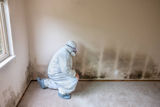 Best Forensic Mold Investigation  in Keys, OK