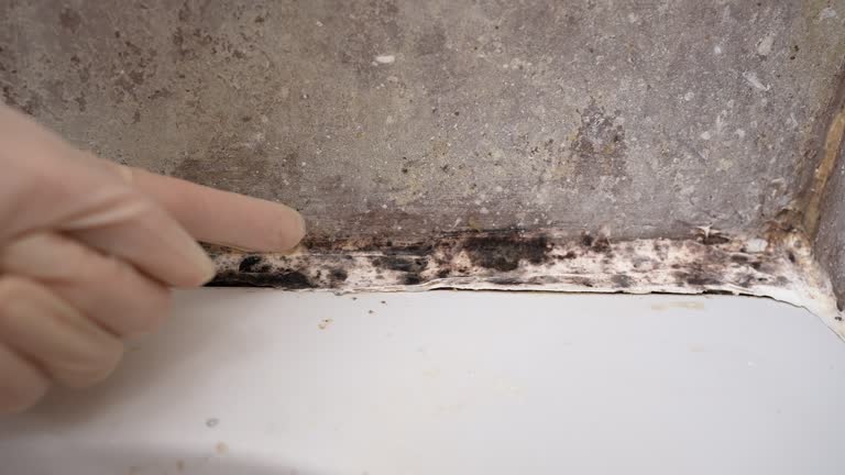 Best Basement Mold Removal  in Keys, OK
