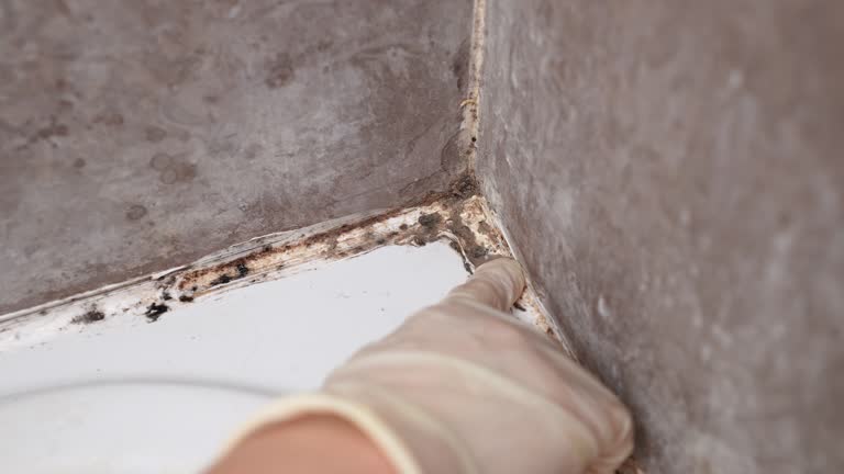 Best Biohazard Mold Removal  in Keys, OK