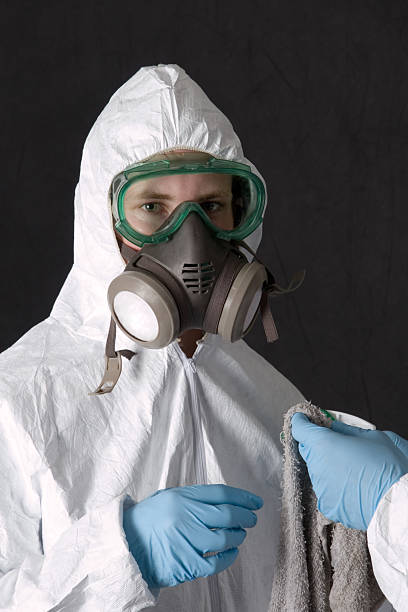 Best Mold Damage Restoration  in Keys, OK