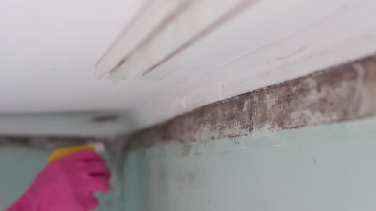 Best Air Quality Testing for Mold Spores  in Keys, OK